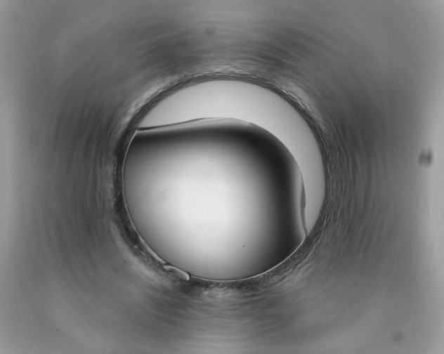 X0000090420444200707272114