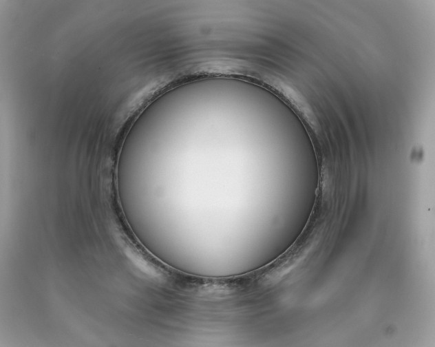 X0000090420445200707272114