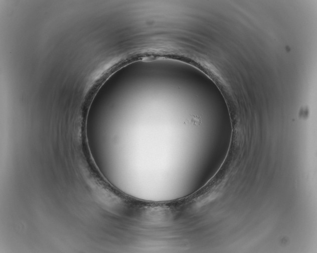 X0000090420446200707272114