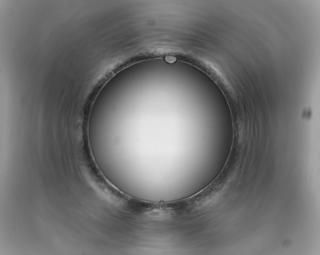 X0000090420447200707272114