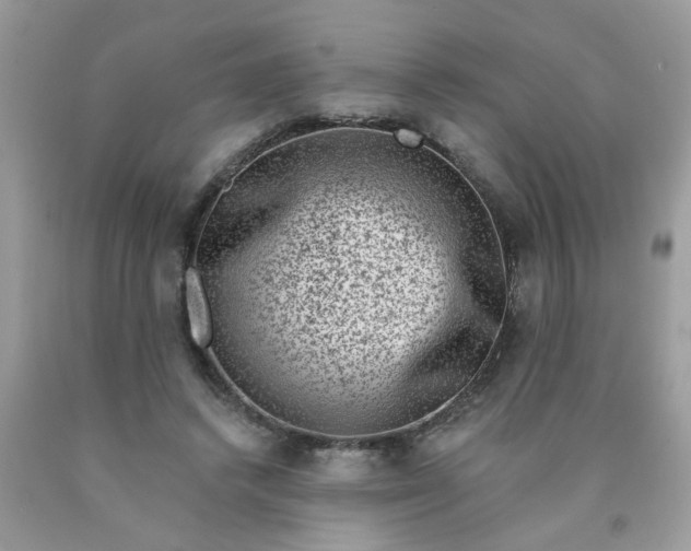 X0000090420448200707272114