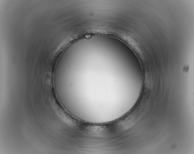 X0000090420449200707272114