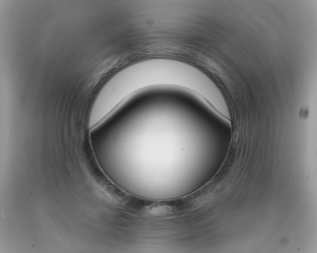 X0000090420452200707272114