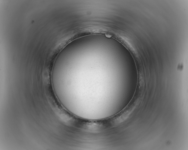 X0000090420453200707272114