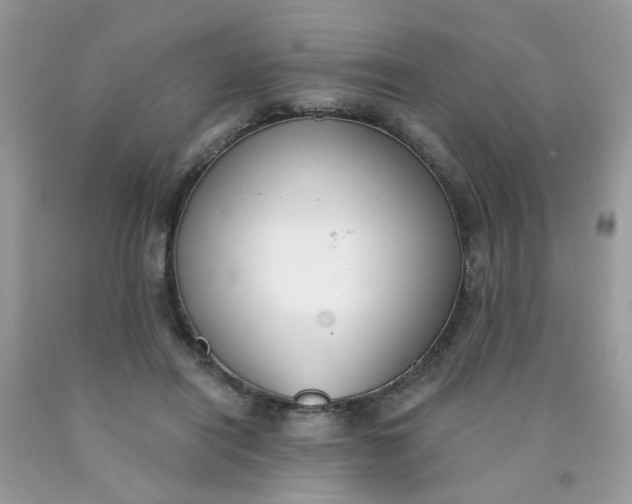 X0000090420454200707272114