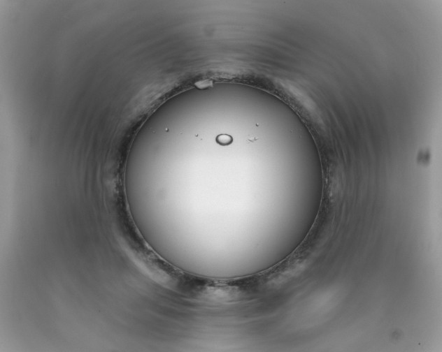 X0000090420455200707272114