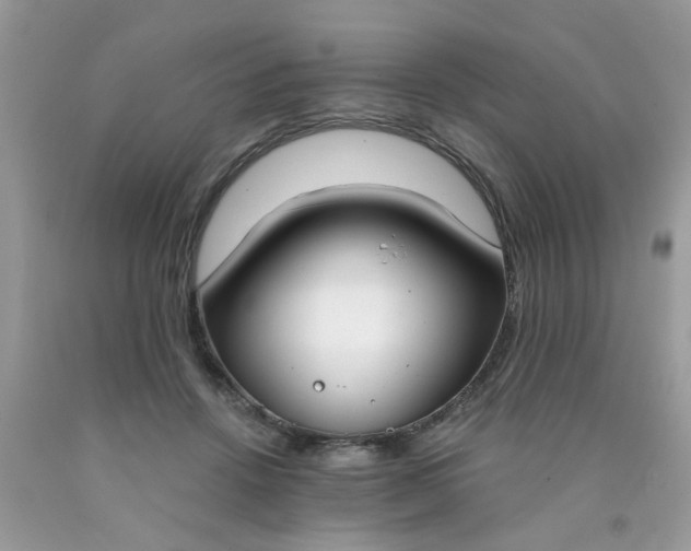 X0000090420456200707272114