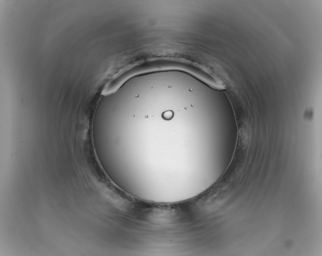 X0000090420458200707272114