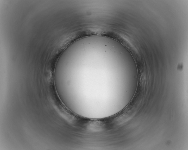 X0000090420459200707272114