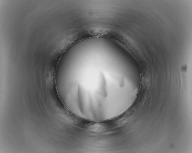 X0000090420460200707272114