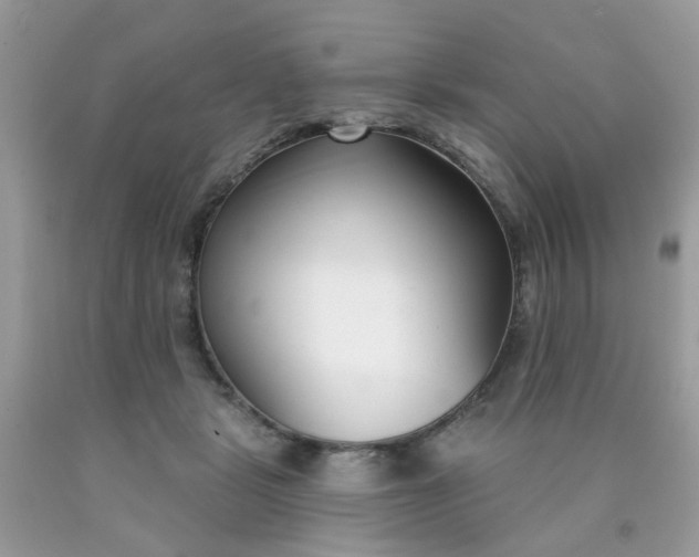 X0000090420461200707272114