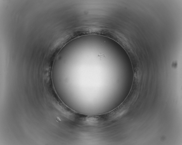 X0000090420462200707272114