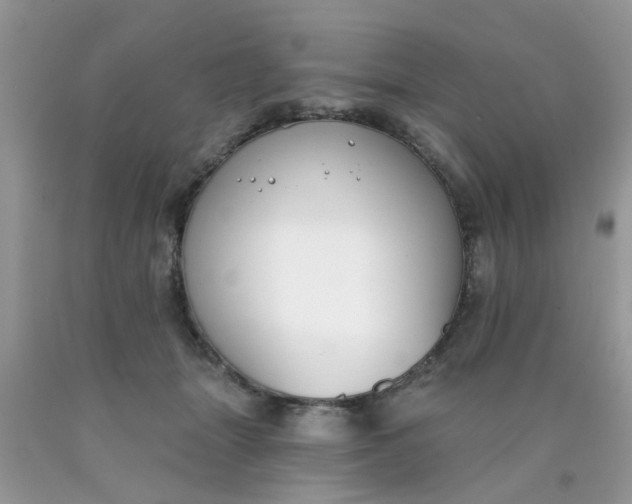 X0000090420463200707272114