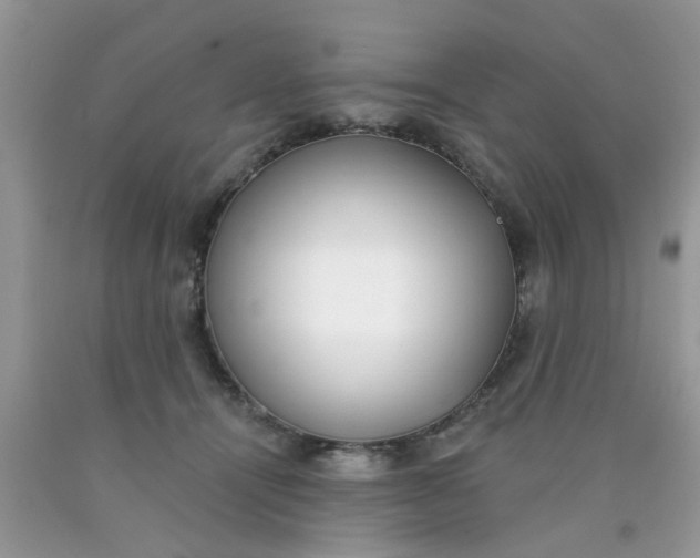 X0000090420464200707272114