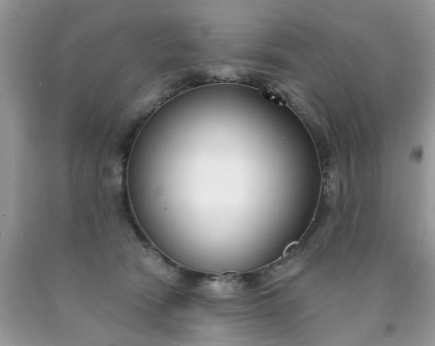 X0000090420466200707272114