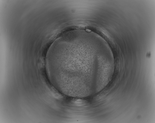 X0000090420467200707272114