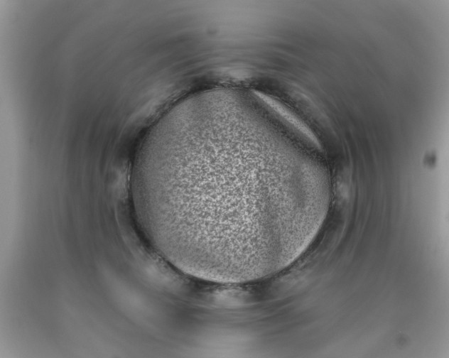 X0000090420468200707272114