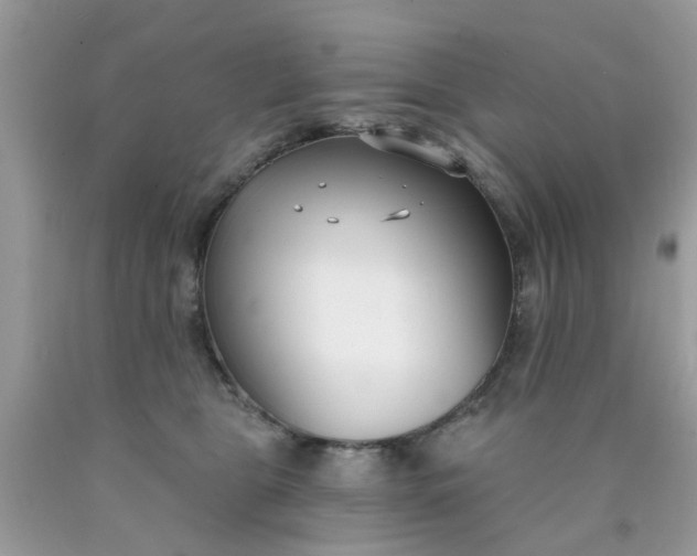 X0000090420469200707272114