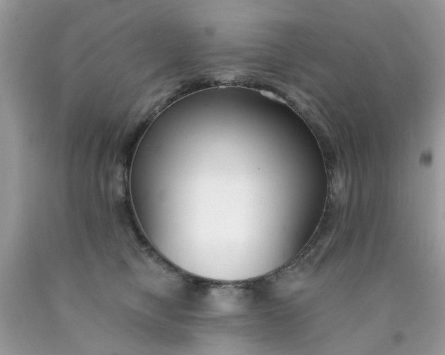 X0000090420470200707272114