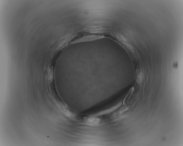 X0000090420471200707272114