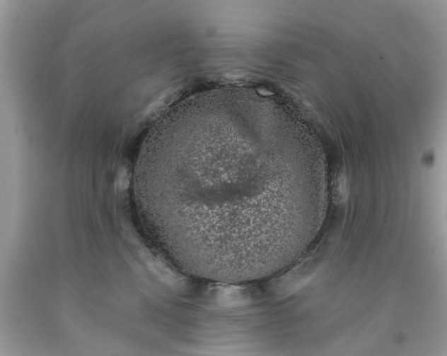 X0000090420472200707272114