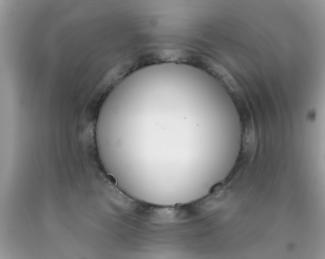 X0000090420473200707272114