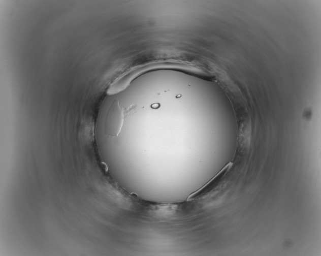 X0000090420474200707272114