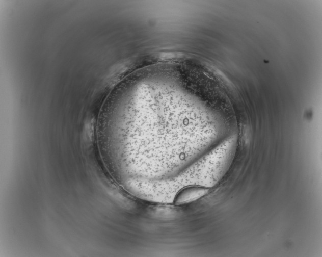 X0000090420475200707272114