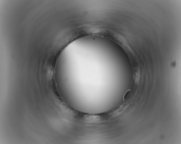 X0000090420476200707272114