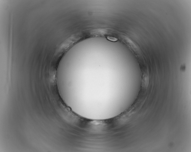 X0000090420477200707272114