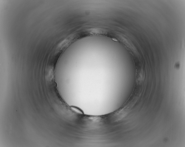 X0000090420478200707272114