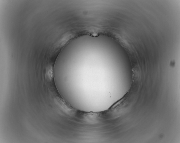 X0000090420479200707272114