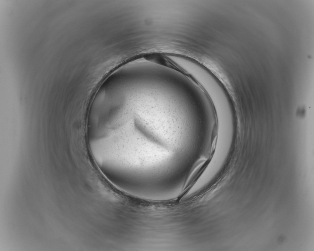 X0000090420481200707272114