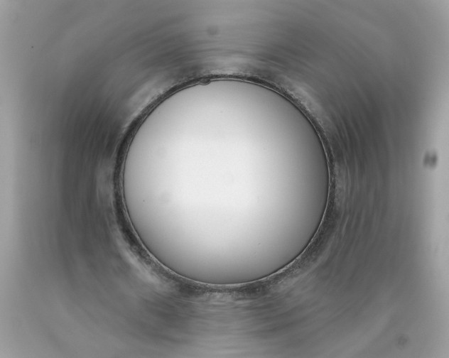 X0000090420482200707272114