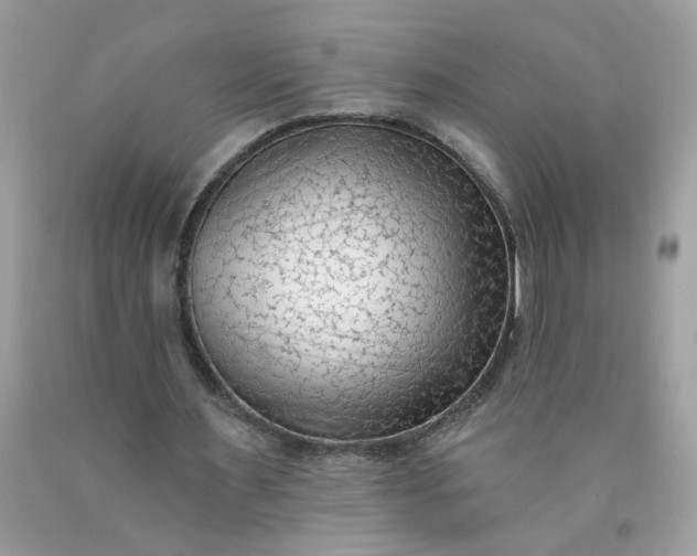 X0000090420483200707272114