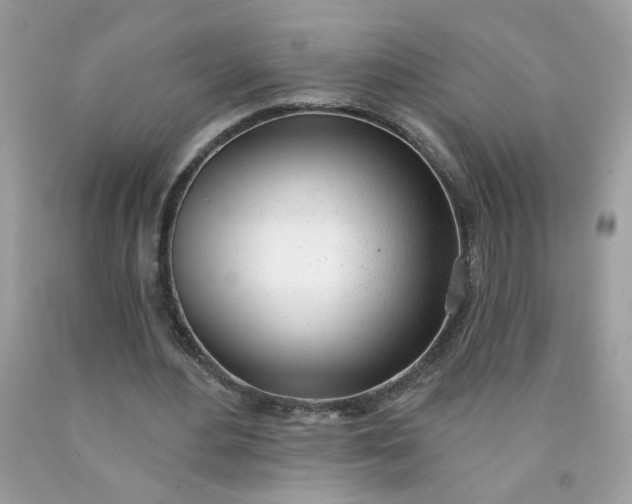 X0000090420484200707272114