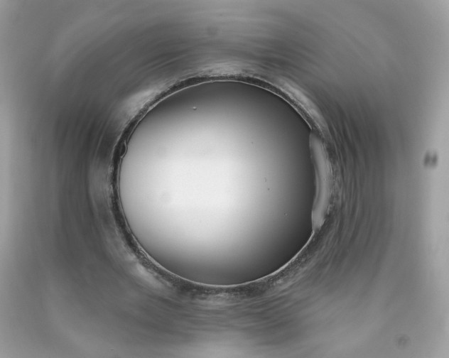 X0000090420485200707272114