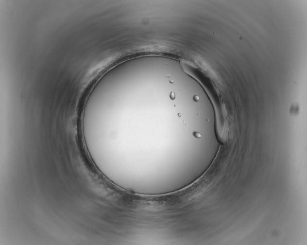 X0000090420486200707272114