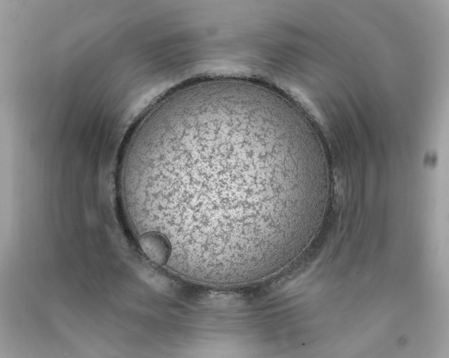 X0000090420487200707272114