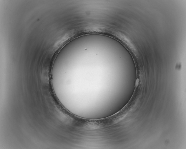 X0000090420489200707272114