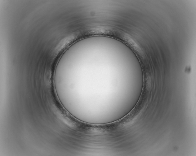 X0000090420490200707272114