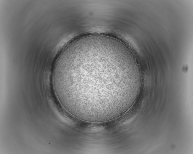 X0000090420491200707272114