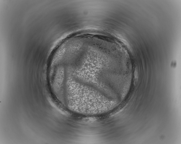 X0000090420492200707272114