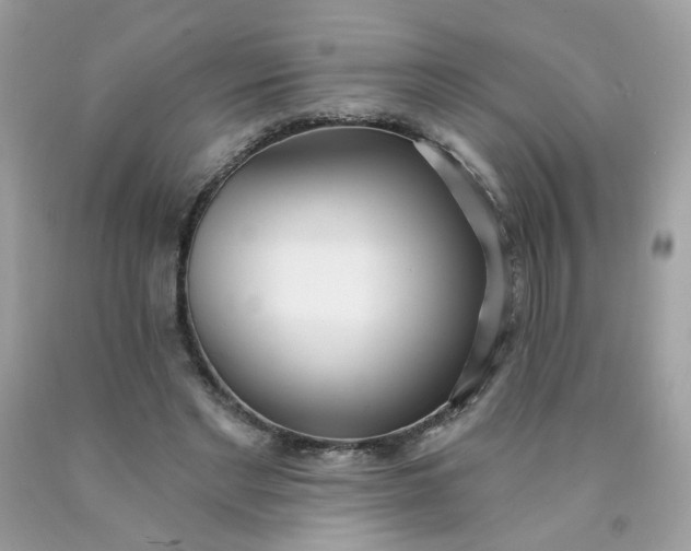 X0000090420493200707272114