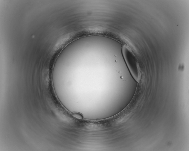 X0000090420494200707272114