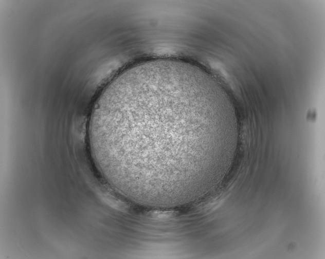 X0000090420495200707272114