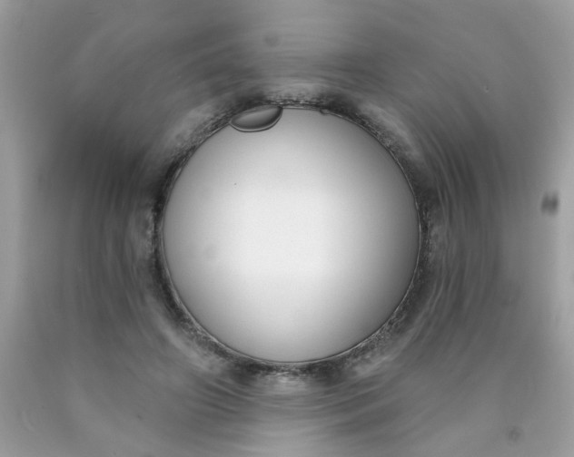 X0000090420498200707272114