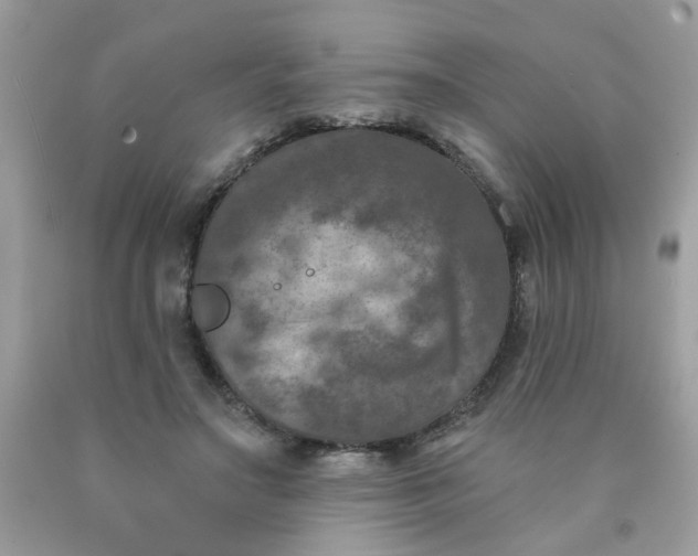 X0000090420499200707272114