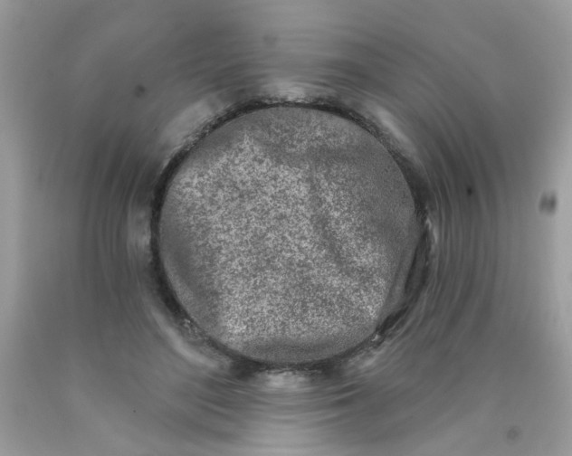 X0000090420500200707272114