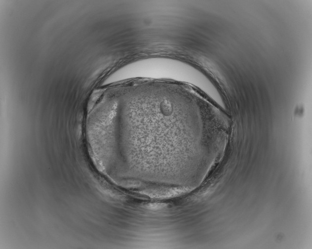 X0000090420501200707272114